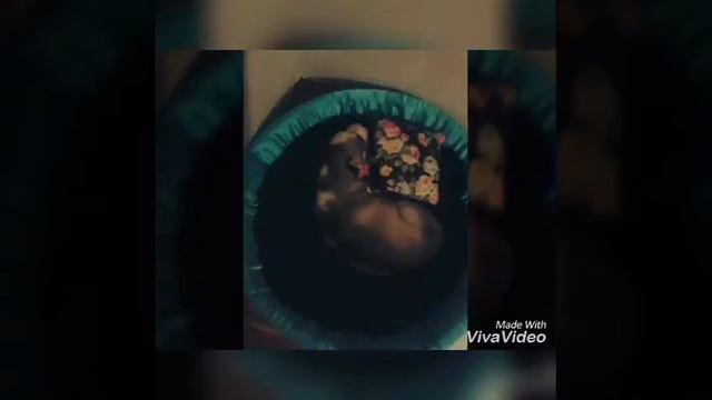 🐾Как спит щенок хаски🐾 смотреть онлайн