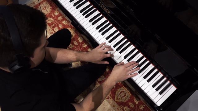 The Petrof Adsilent System