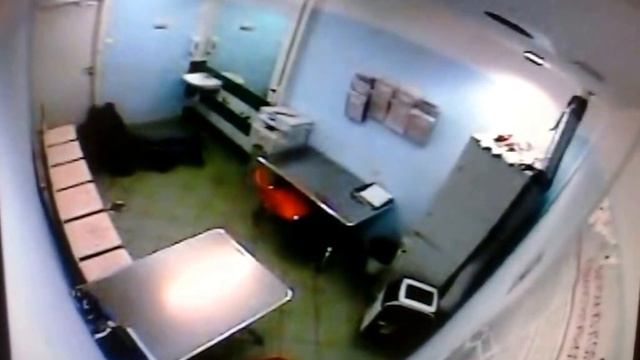 Задержание карманника смотреть онлайн