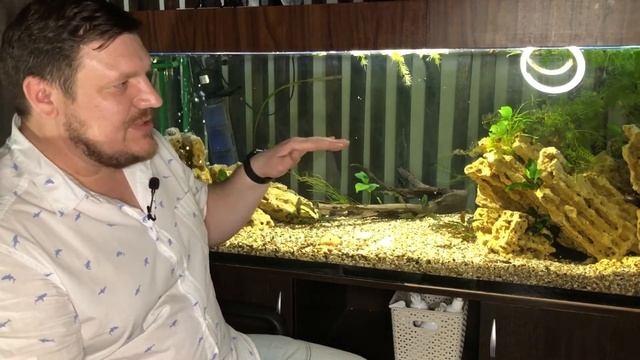 АКВАРИУМ 400 ЛИТРОВ РАССМАТРИВАЕМ смотреть онлайн