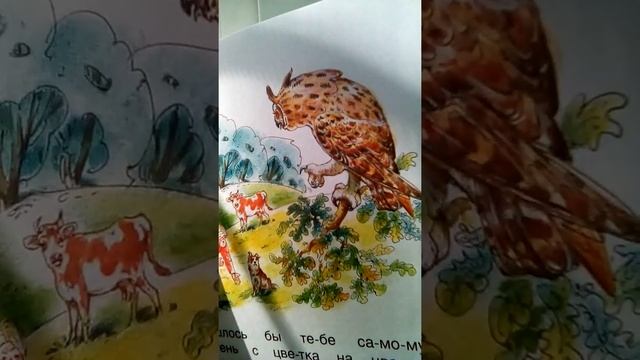 Эко-сказка от В.Бианки. смотреть онлайн
