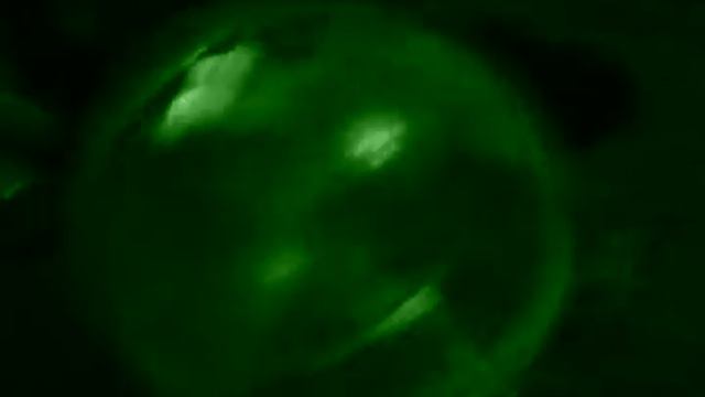 Колесо хомяка смотреть онлайн