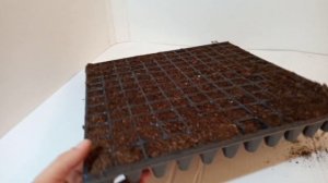 144-ф.,самая популярная кассета для рассады на рынке , #рассада