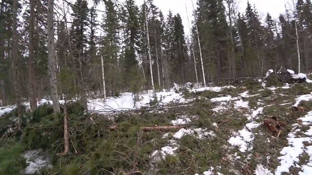 Варяг 550V!Патруль 550 SWT!STELS ЕРМАК 600S,подвеска в хлам!Мото буксировщик МУЖИК! смотреть онлайн