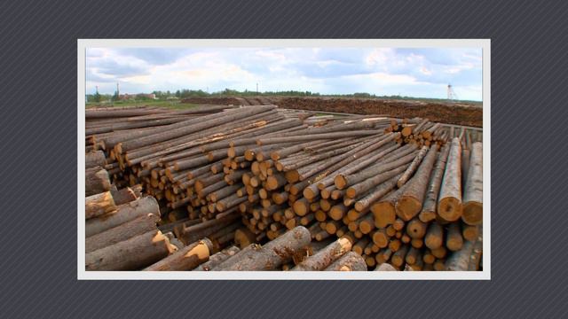 #QABDAI 9 -Өз шығармасынан бас тартқан қазақ жазушысы, том-том макулатура және экомақта смотреть онлайн