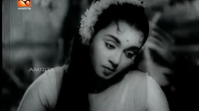 Seeta Malayalam Movie Song| Paattupaadiyurakkaam | Amrita Online Movies смотреть онлайн