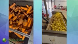 Моечная-очистительная машина для чистки картофеля, моркови с комбинированными валами Vega CB F1800