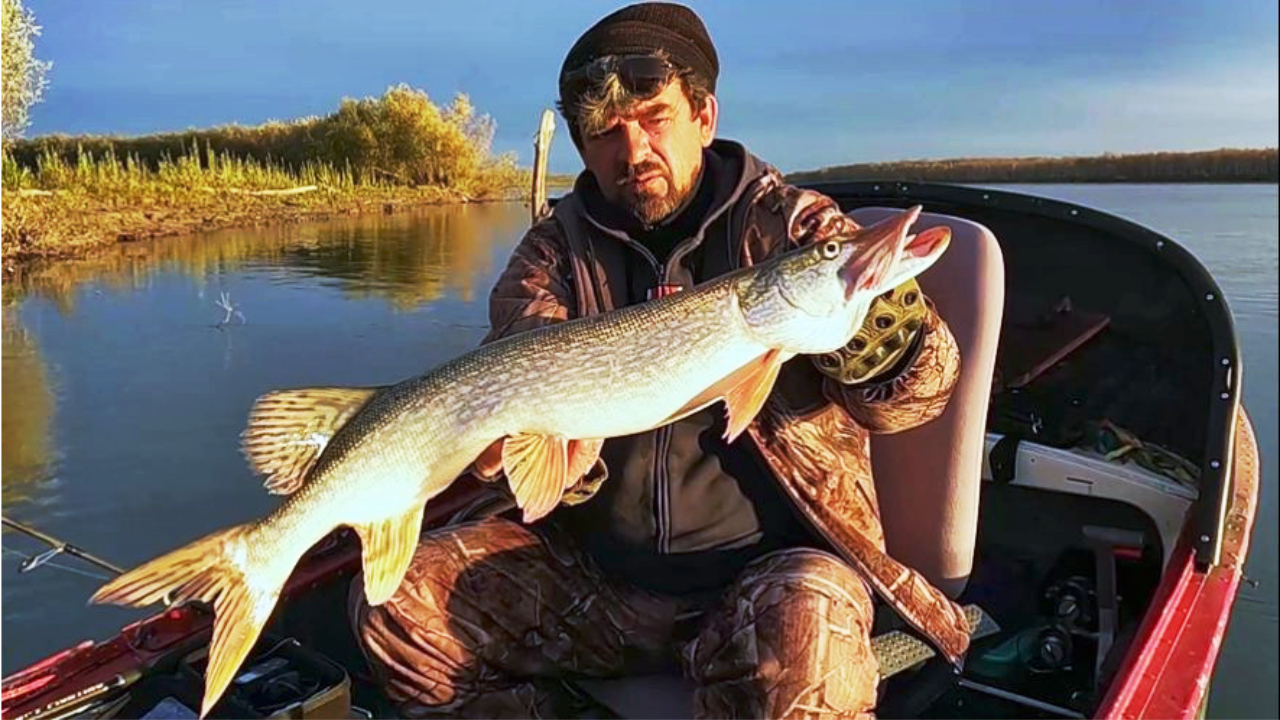 У ХИЩНИКОВ ПРОСНУЛСЯ АППЕТИТ. Комбинированная рыбалка на Оби 8 - 9 октября 2023г. смотреть онлайн