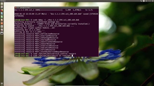 Linux DSC on Ubuntu 16.04 good enough? смотреть онлайн