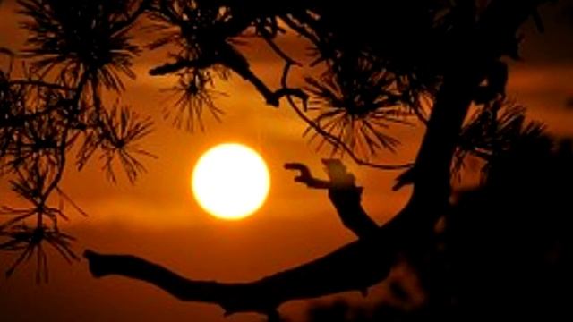 Музыка для хорошего ночного сна, сладкие мечты ребенка смотреть онлайн