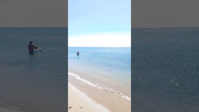 Веселовка.сентябрь 2020.дельфины.вода идиальноя.... смотреть онлайн