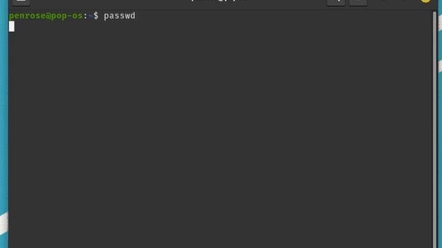 How Can I Change My Password On Pop OS 2023 #howto #popos смотреть онлайн