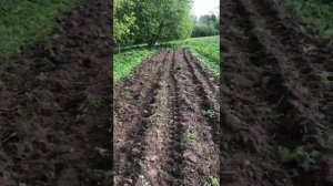 Дисковый плуг пахота отзыв