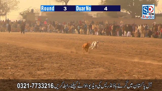 Dori Track Race Round # 3 | 23-01-2021 | SP studio 216 Greyhound смотреть онлайн