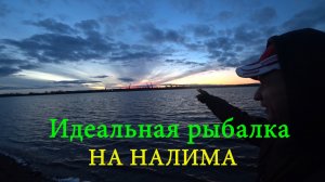 ИДЕАЛЬНАЯ РЫБАЛКА на НАЛИМА. Ветер, дождь, костер и собаки(дементоры)