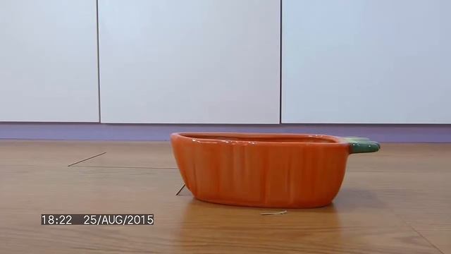 Cute Bunnies Chomping On Food | Cinnamon & Churro смотреть онлайн