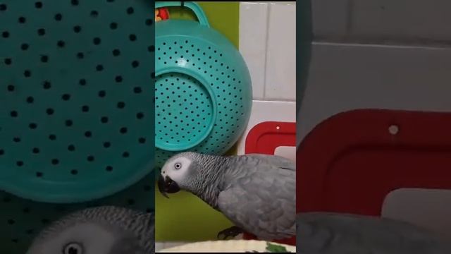 - Ой шо это? Шо ты хочешь? - Поговорить, - Заходи. смотреть онлайн