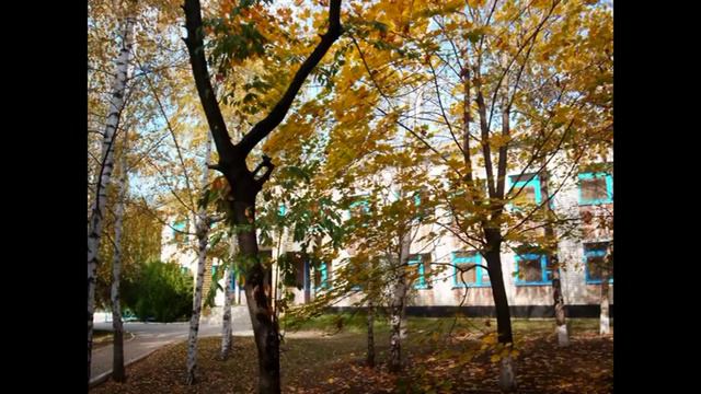Листья жгут смотреть онлайн