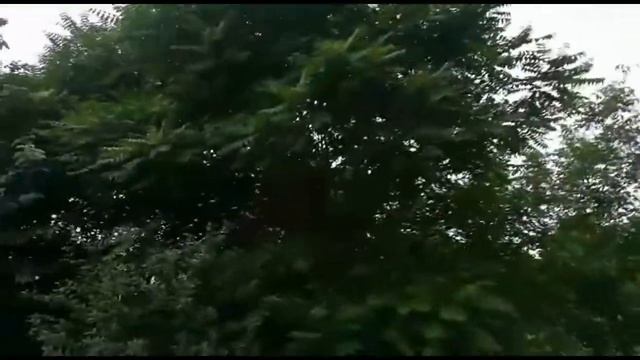 #Анапа. ЖК Адмирал, ЖК Триумф.Прогулки по ул. Владимирской. смотреть онлайн