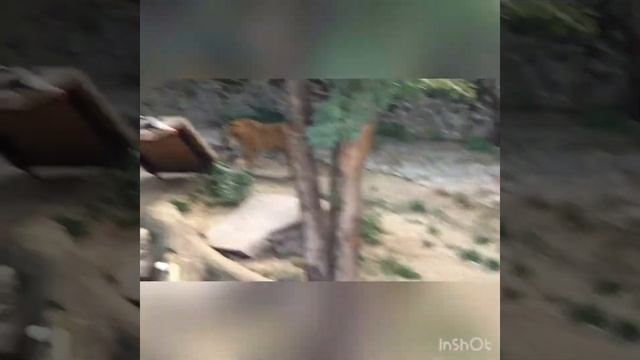 Как в конце видео поставить картинку с музыкой смотреть онлайн