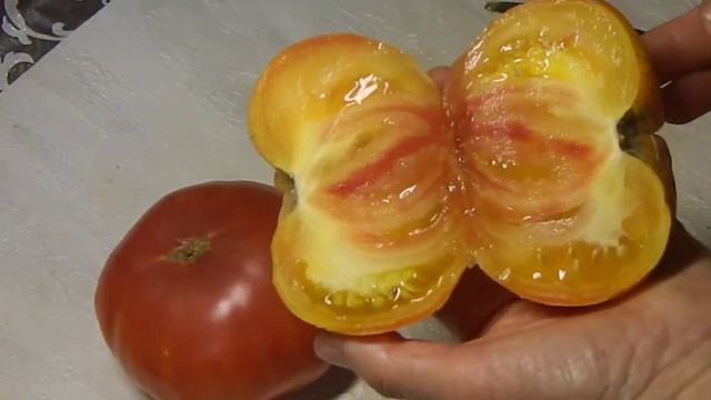 Томат Фероковкай гном. Еще один тест плодов.