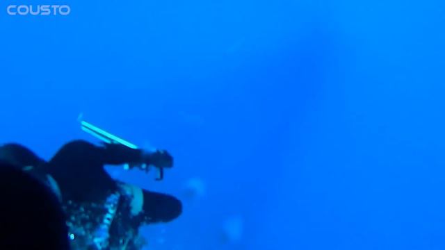 SPEARFISHING! ПОДВОДНАЯ ОХОТА В ОКЕАНЕ!