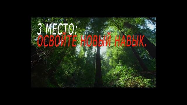 Топ 10 как провести каникулы с пользой. смотреть онлайн