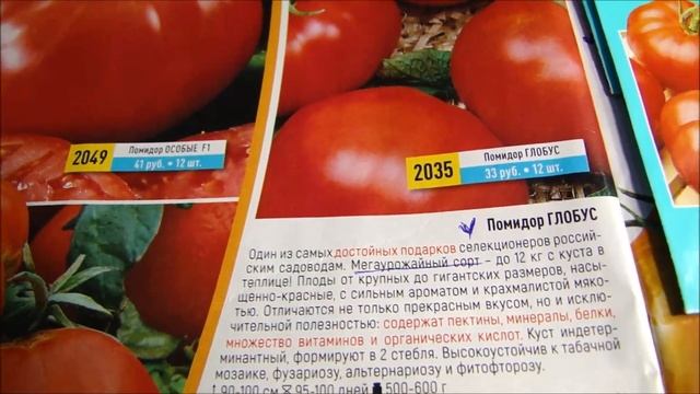 Помидоры с феноменально высокой урожайностью! смотреть онлайн