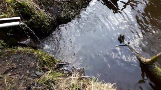 Половодье реки Красная (Роминта) в Калининградской области смотреть онлайн