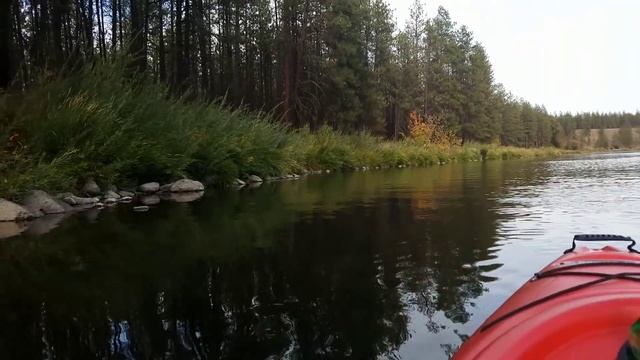 КРАСИВО ЖИТЬ не ЗАПРЕТИШЬ/ЖИЗНЬ в НАШЕМ ГОРОДЕ Spokane WA смотреть онлайн