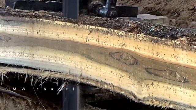 berkah menggergaji kayu jati kampung di musim hujan,bos kebanjiran pesanan!! смотреть онлайн