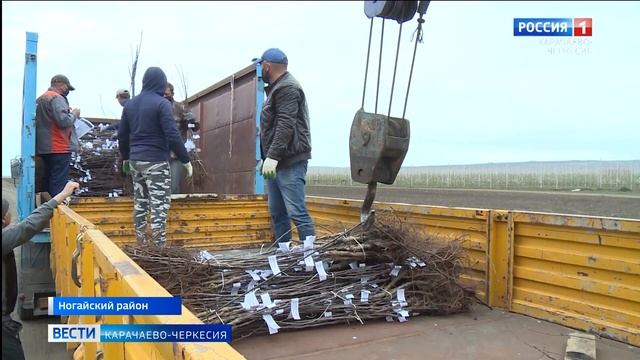 Многодетные семьи республики в преддверии Дня семьи получили приятный подарок от главы КЧР смотреть онлайн