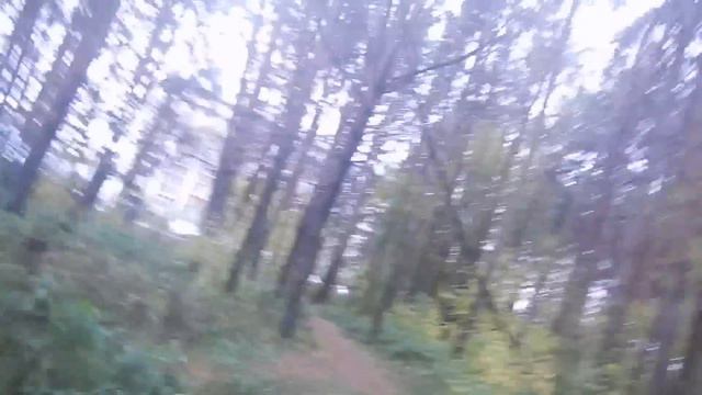 Прогулялся по Гилевской роще смотреть онлайн