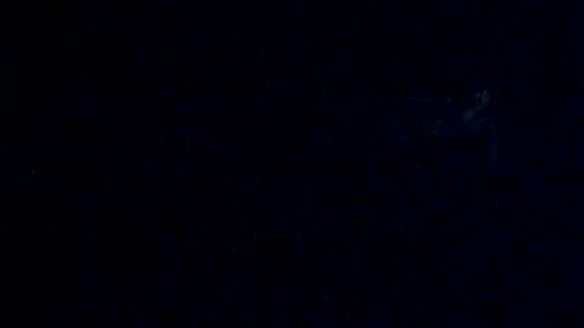 Садовая железная дорога в рождество