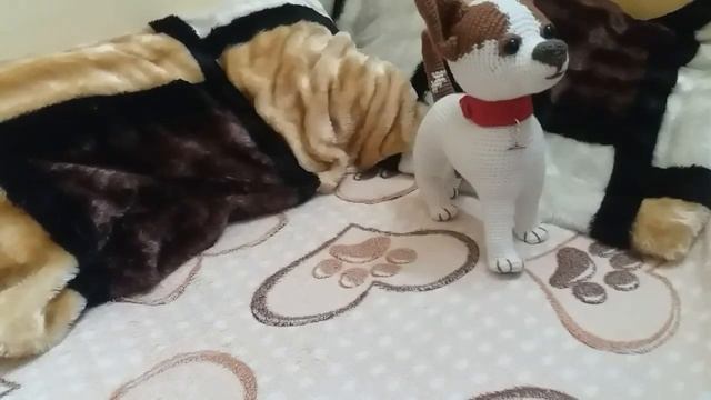 ?Perrito Chihuahua A Crochet/ Tutorial Paso A Paso?Amigurumi