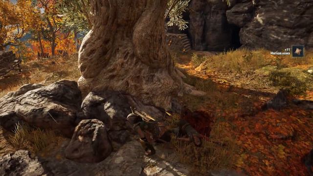 Assassin's Creed: Odyssey (кошмар, Исследователь). Часть 37 - Культисты: Зоисма смотреть онлайн
