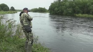 Даже не верится, что клюют эти мощные рыбины. Рыбалка на Камчатке 2024