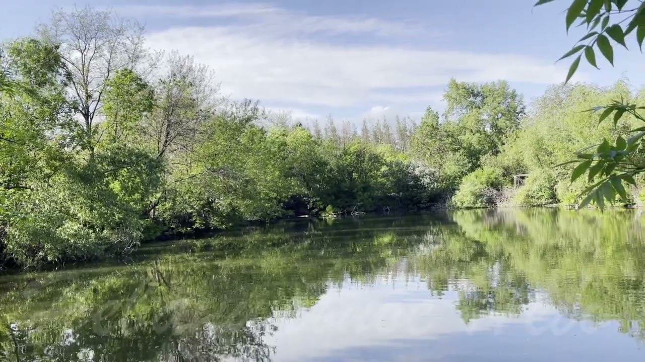 Трансформируем негатив в позитив