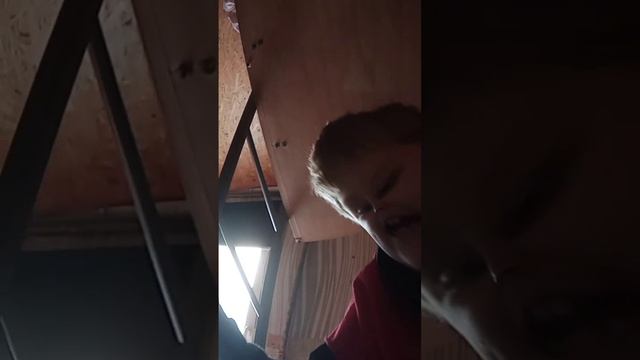 меня батя заставил есть морковку