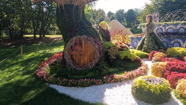 Киев Выставка цветов 2020 смотреть онлайн