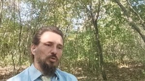 Что такое растения учителя? Чему они нас учат? Что такое обусловленность?