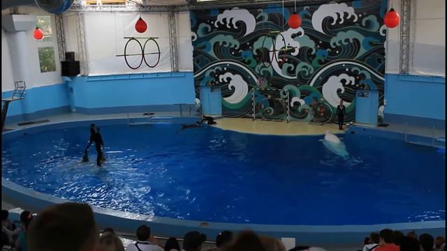 ПАРК РИВЬЕРА ОБЗОР смотреть онлайн