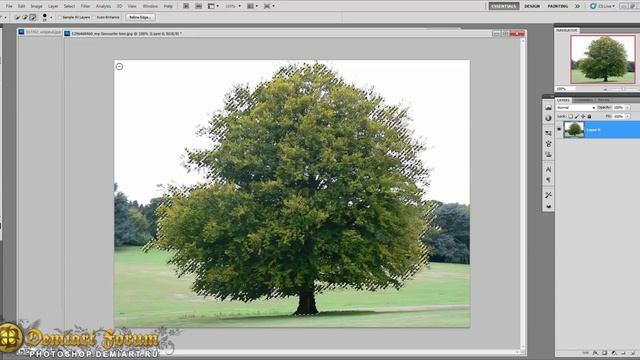 Вырезание сложных объектов — 3 способа. Урок Photoshop смотреть онлайн
