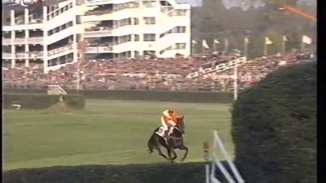 Velká Pardubická 1994 Erudit смотреть онлайн