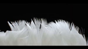 Усовершенствованные триммеры Braun BT и MGK