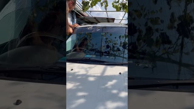 Идём на открытие рыбного магазина /вкусный завтрак / покупки смотреть онлайн