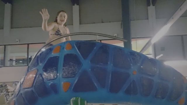 Put u Tuheljske toplice смотреть онлайн