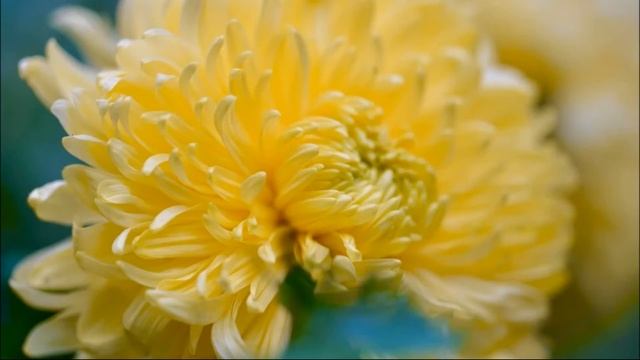 23 настрой «Все происходит во благо». смотреть онлайн