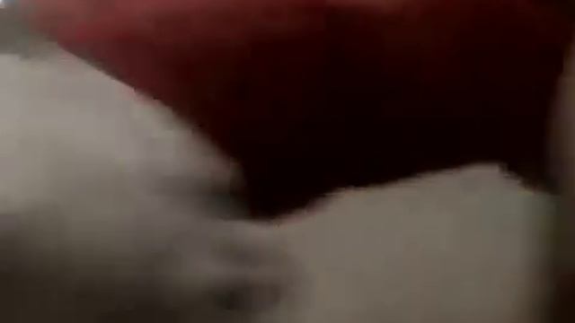 ANJING VS CEWEK ABG CANTIK, ANJINGNYA NAFSU BANGET!!!!