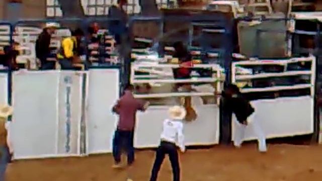 Rodeio parque dos Tropeiros смотреть онлайн